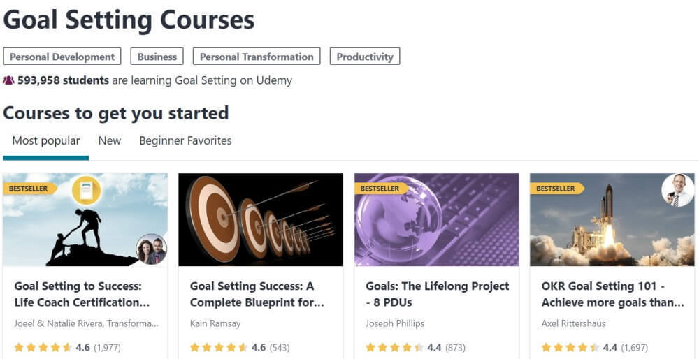 Пример ниши Udemy для постановки целей