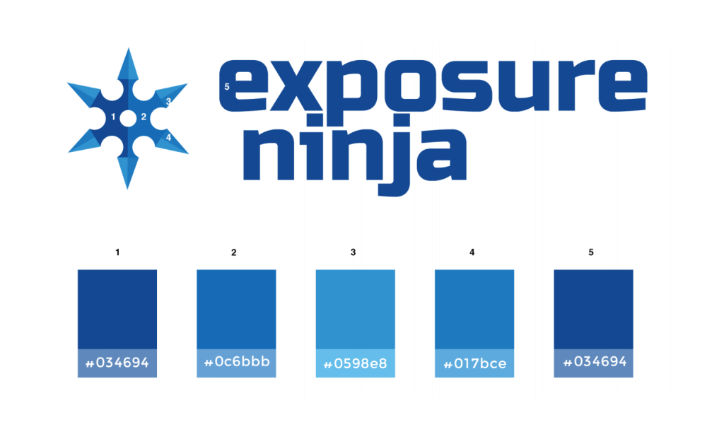 Wytyczne dotyczące użycia kolorów Exposure Ninja.