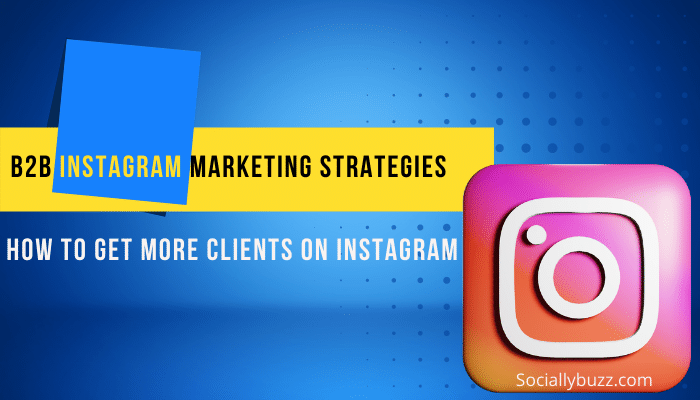 B2B-Instagram-marketing-strategies-How-to-get-more-clients-on-Instagram