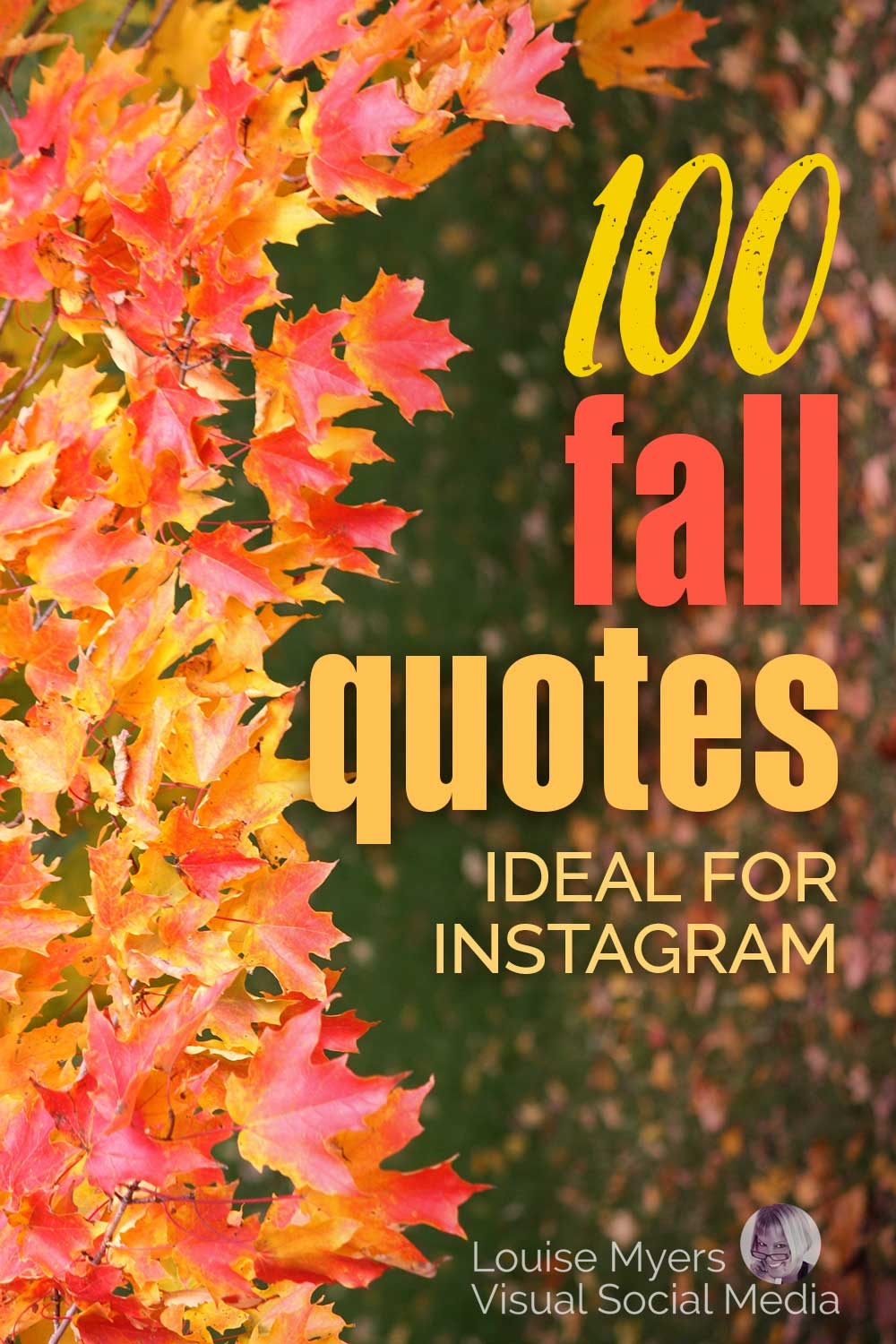 feuilles d'automne rouge orange et or avec des mots 100 citations d'automne idéales pour instagram.