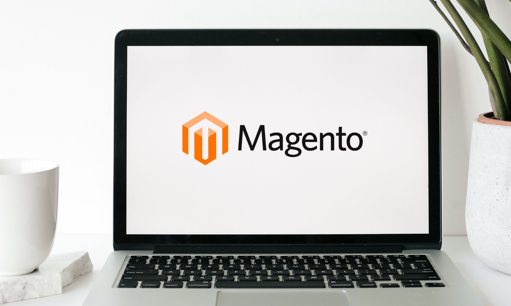 magento kurumsal