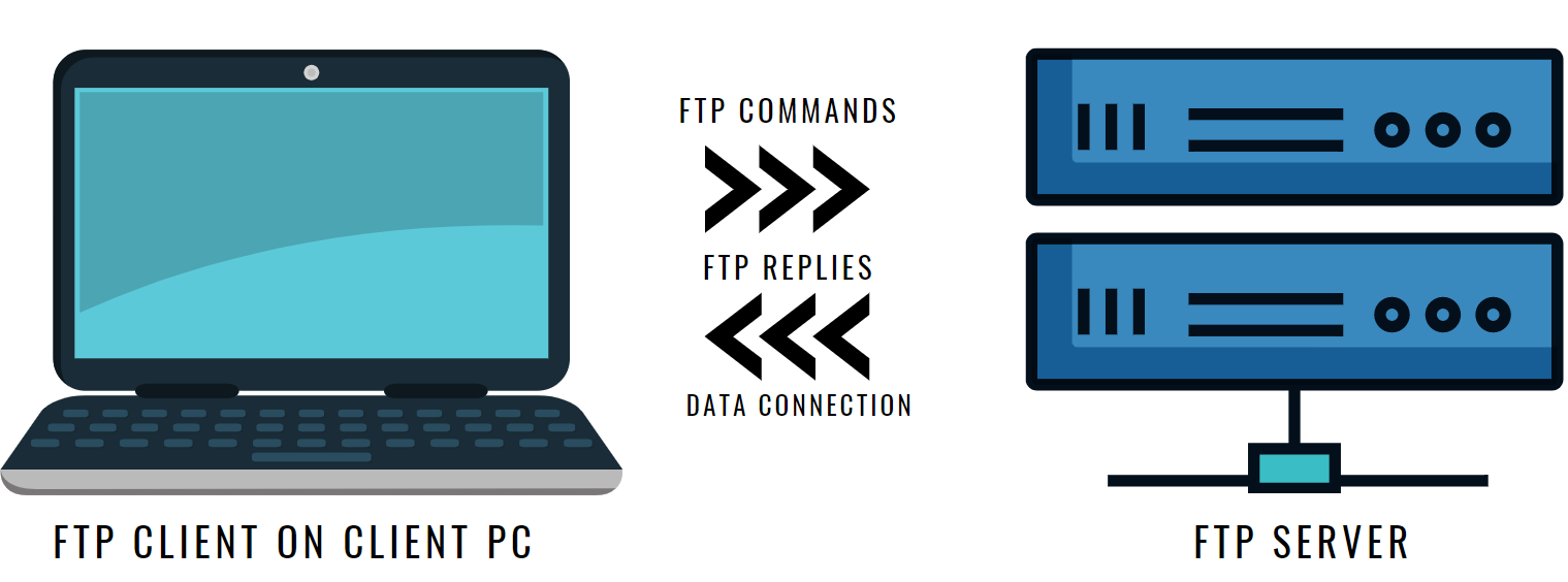 FTP_接続