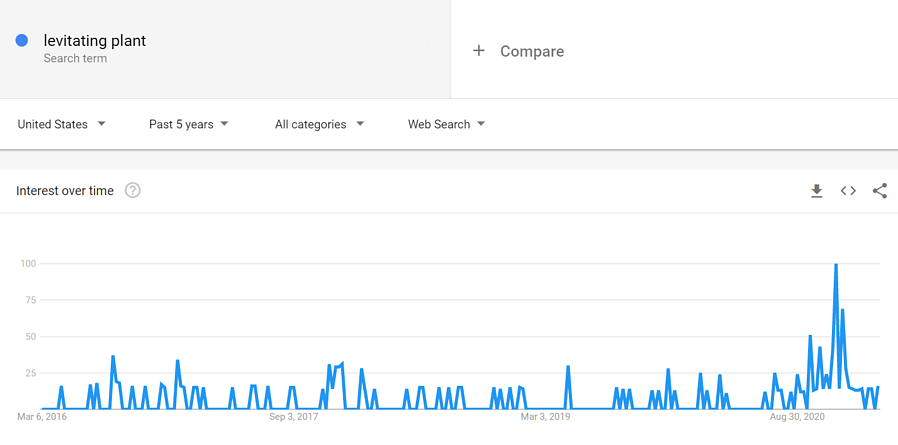 schwebende-pflanze-google-trends-2