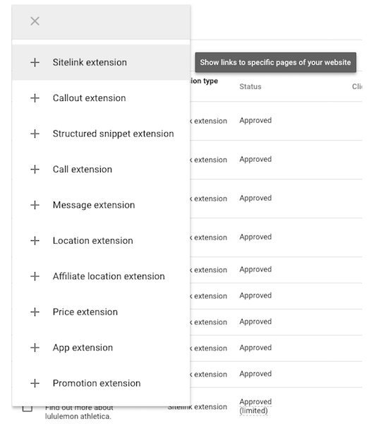 google-extensions-options