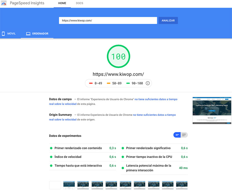 Nota 100 Google PageSpeed ​​Insights Desktop