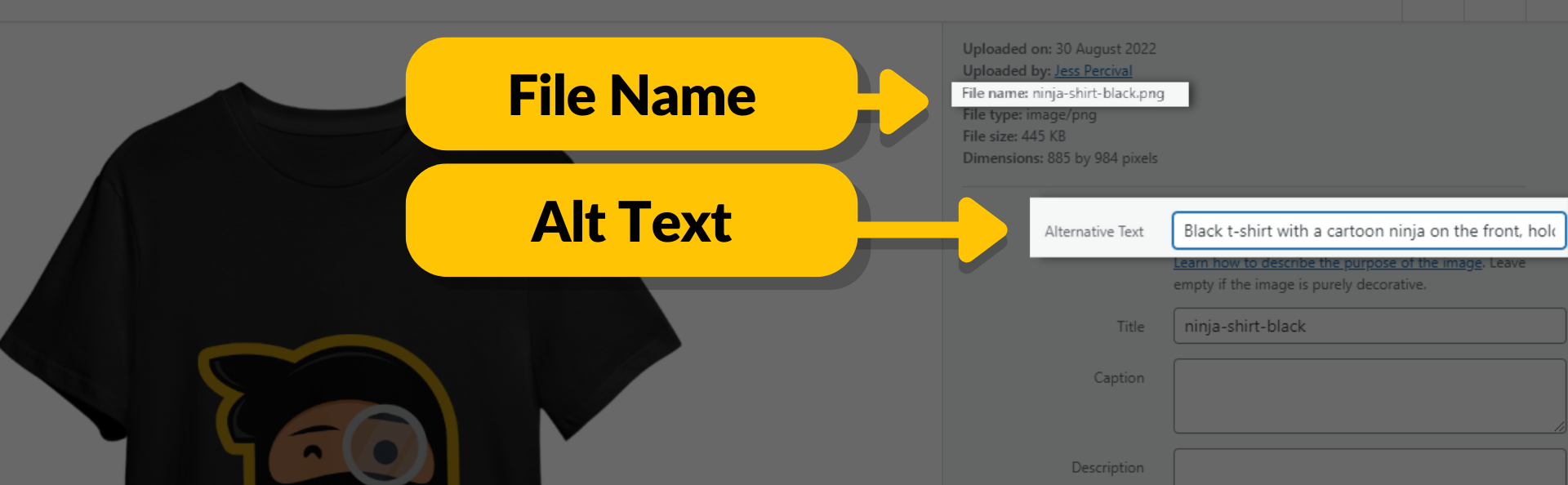 صورة توضح موقع اسم الملف والنص البديل في WordPress