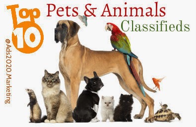 Pets-animals-Top-10-best-classifieds-websites-post-free-ads-buy-sell-online-395x256