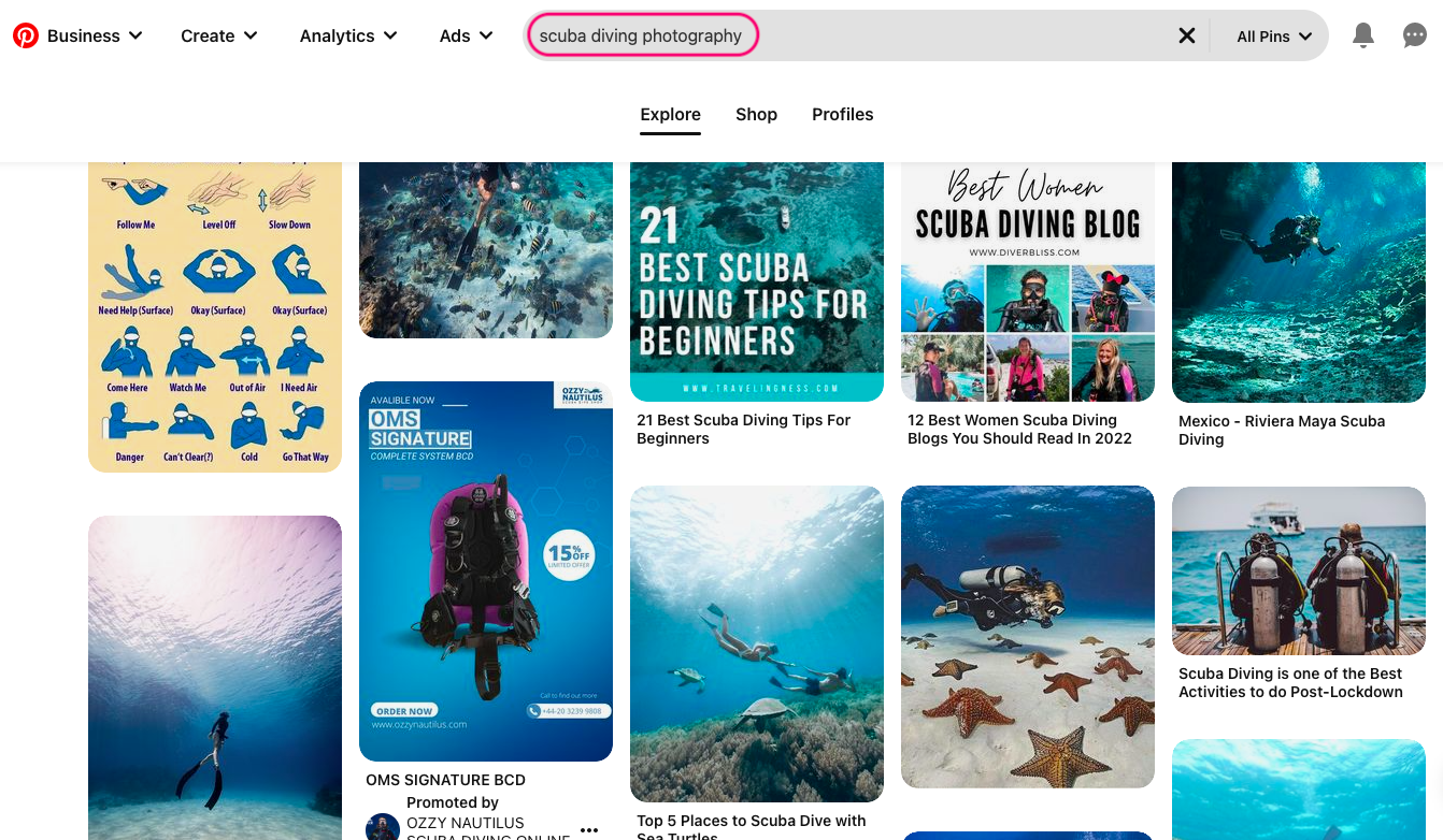 Marketing fotografii podwodnej na Pintereście