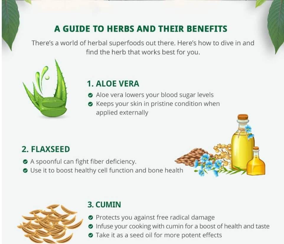 une infographie sur les herbes et leurs bienfaits