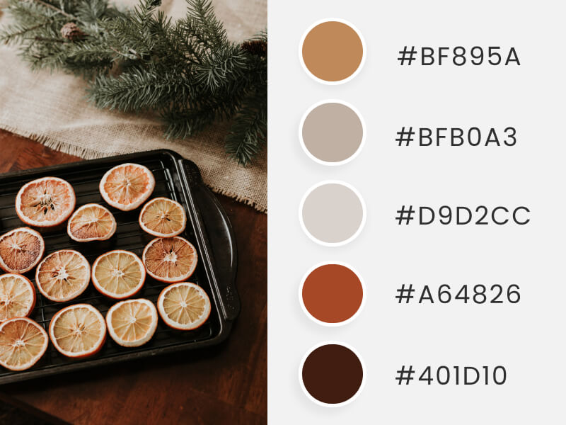 Palettes de couleurs d'hiver - quelques oranges séchées pour une boisson chaude