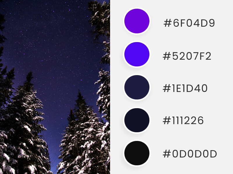 Palettes de couleurs d'hiver - une nuit noire en hiver