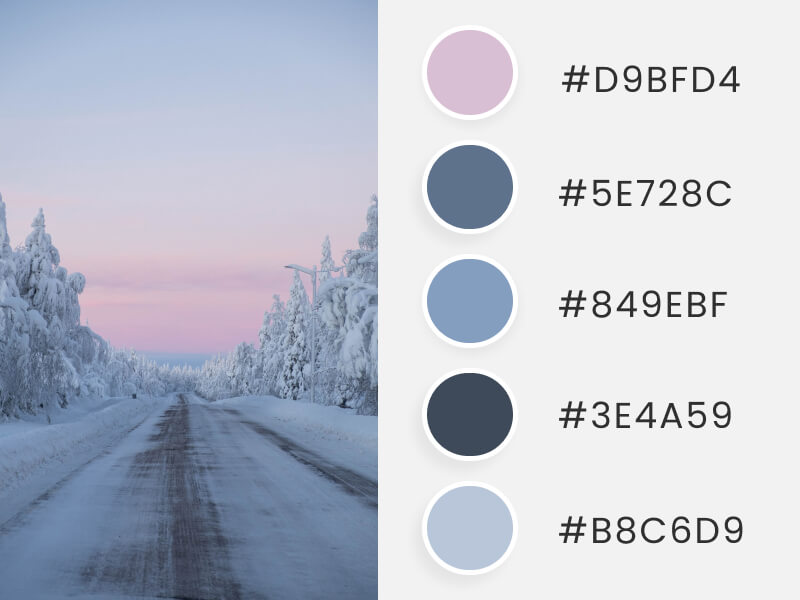 Palettes de couleurs d'hiver - un chemin d'hiver froid