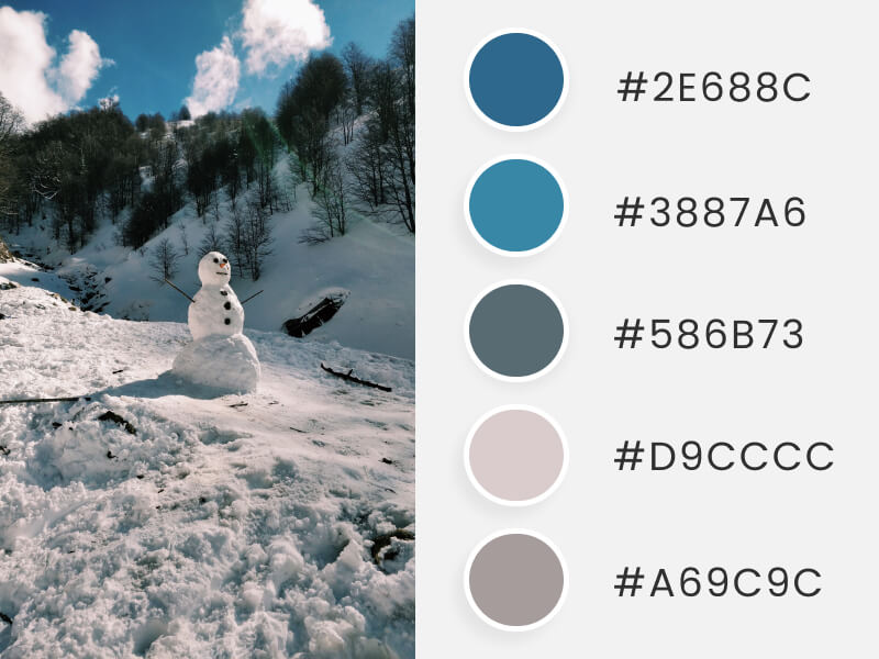 Palettes de couleurs d'hiver - un bonhomme de neige dans un champ d'hiver