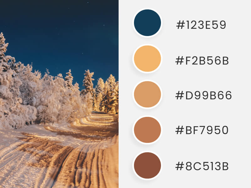 Palettes de couleurs d'hiver - un hiver magique et lumineux la nuit