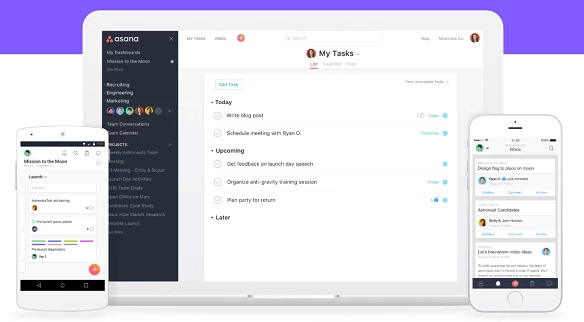 Asana Project Management Tool