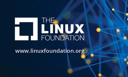 Sertifikalı Kubernetes Ustalığı: Linux Foundation ile CKA'ya Ulaşmak