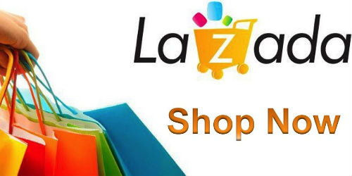 lazada-ecommerce-site-for-Indonesia-500x250