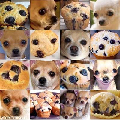 Hund und Chocolate Chip Muffin AI-Beispiel