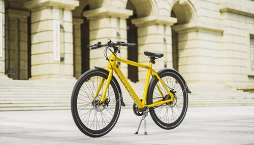 MAGiCYCLE Lightweight Commuter Electric Bikes