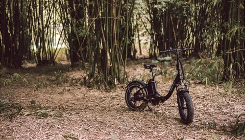 MAGiCYCLE Jaguarundi Folding E-bike Electric Bikes