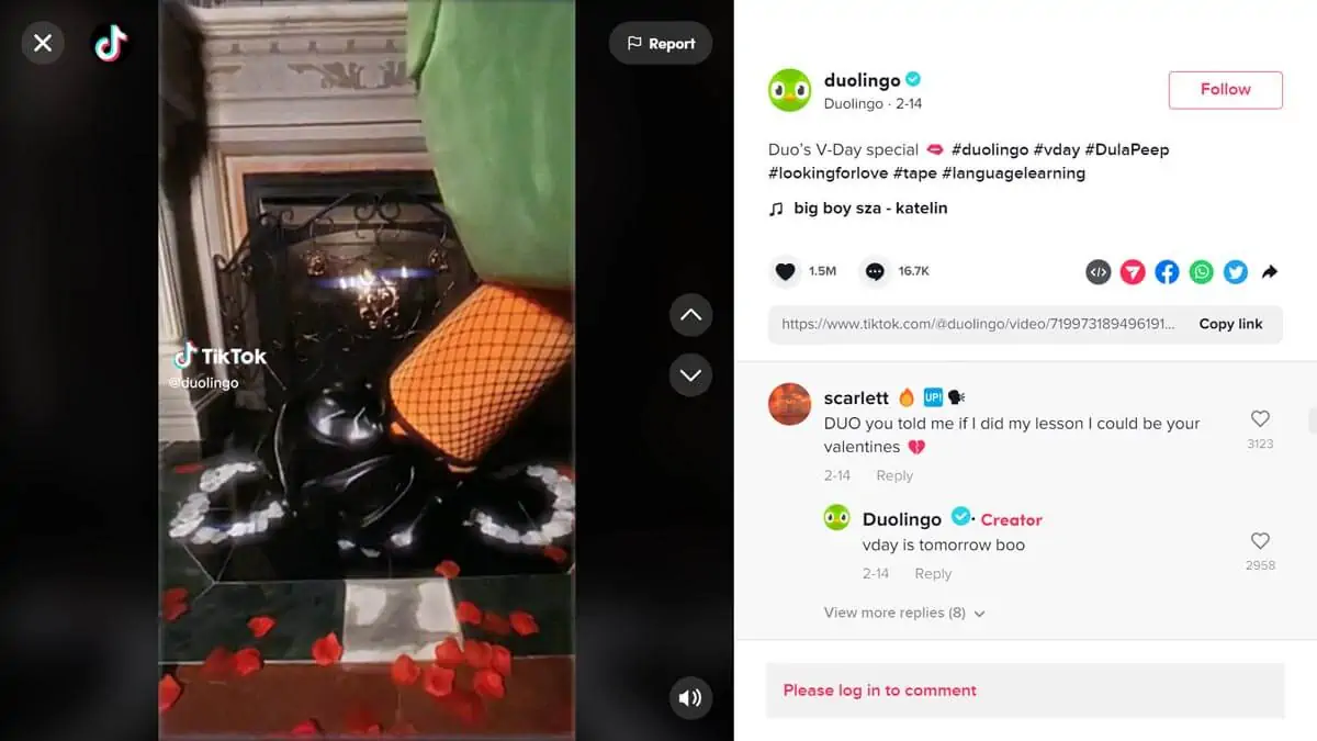 duloingo tiktok didascalie sui social media