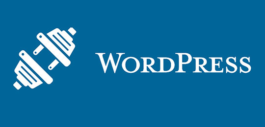 WordPress 插件