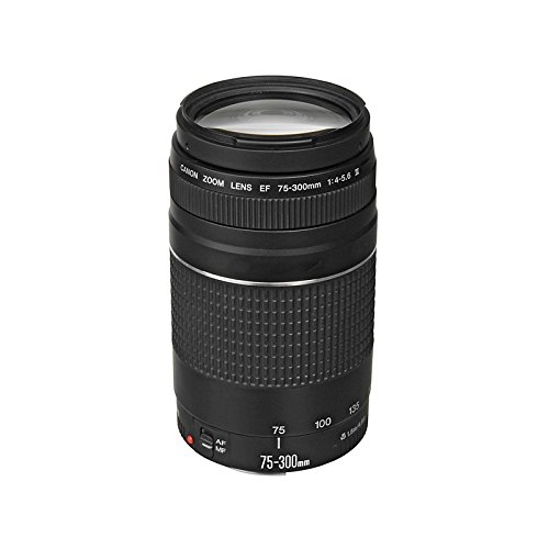 캐논 SLR 카메라용 캐논 EF 75-300mm f/4-5.6 III 망원 줌 렌즈