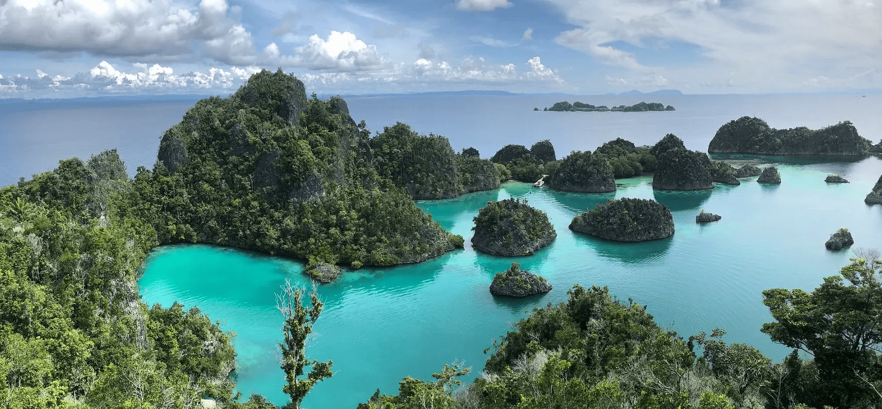 Sonne, Meer und Segel: Luxuriöse Tauchsafari-Ausflüge in Indonesien