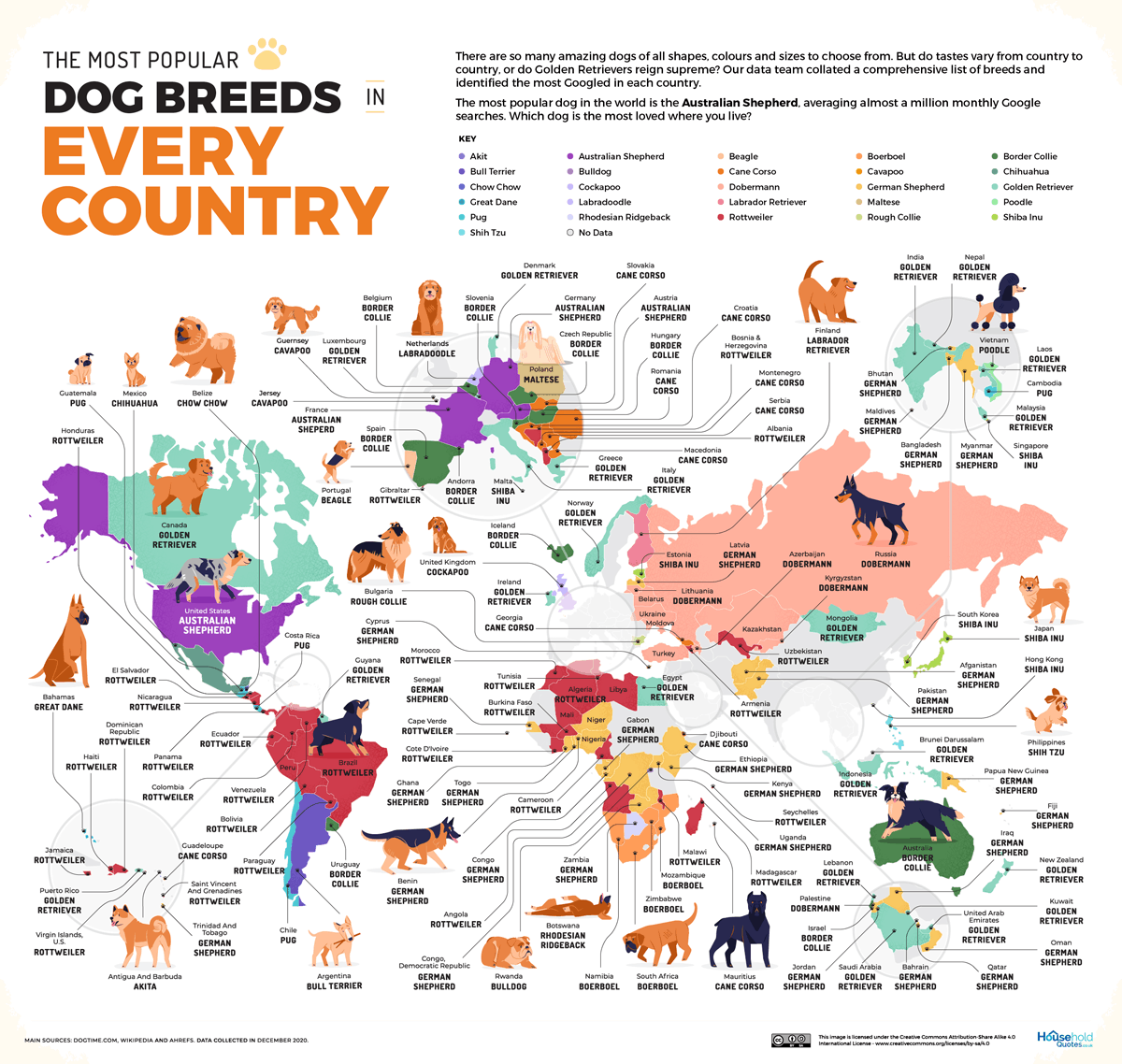 世界中の犬種のインフォグラフィック