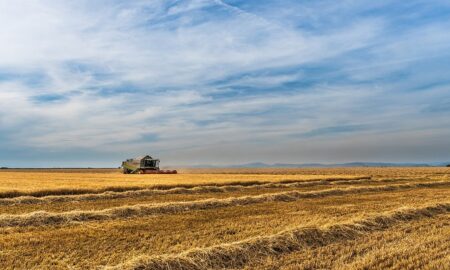 De la fermă la furculiță: provocări cu care se confruntă sectorul agricol