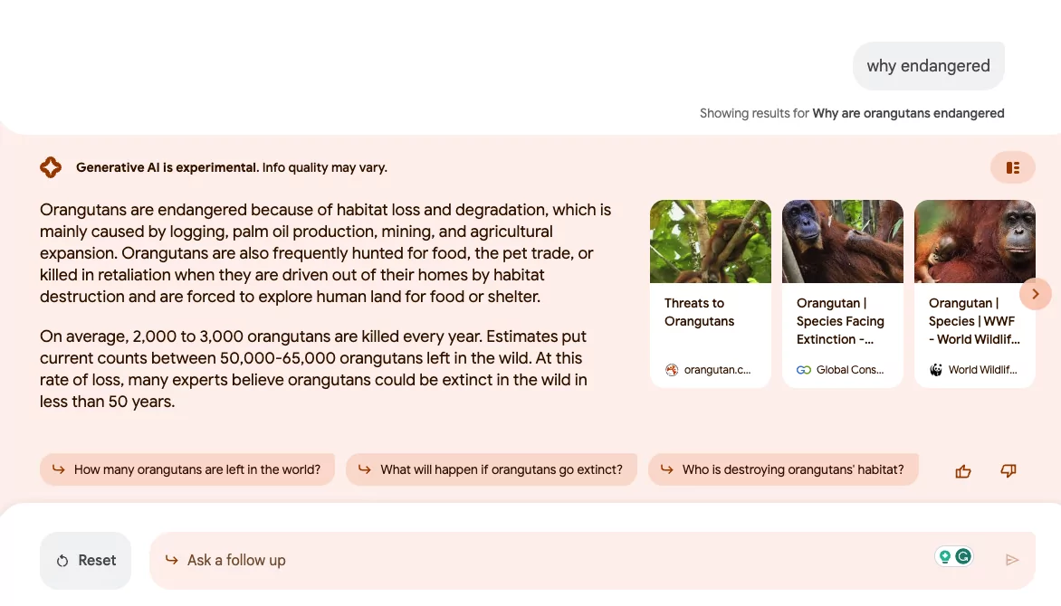 谷歌吟遊詩人對猩猩搜索“為什麼瀕臨滅絕”的回應的屏幕截圖