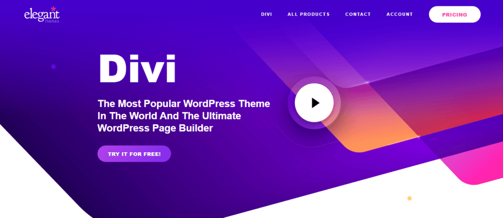 divi theme homepage