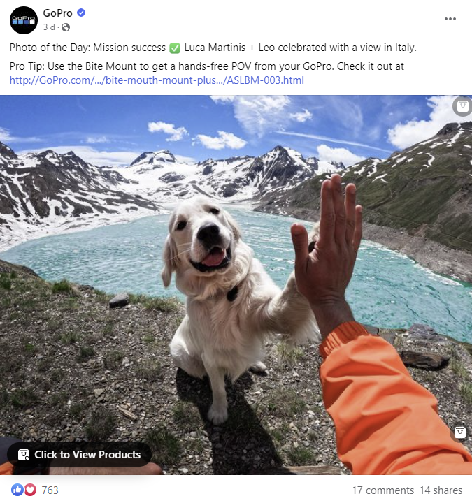 GoPro からの Facebook への投稿の写真。犬が人とハイタッチしている様子が描かれています