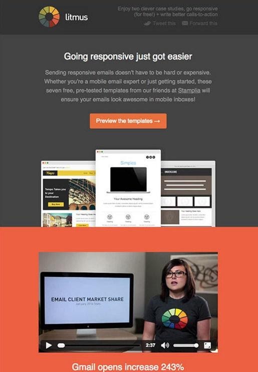 Litmus - Kampanye Pemasaran Email - Buletin Email